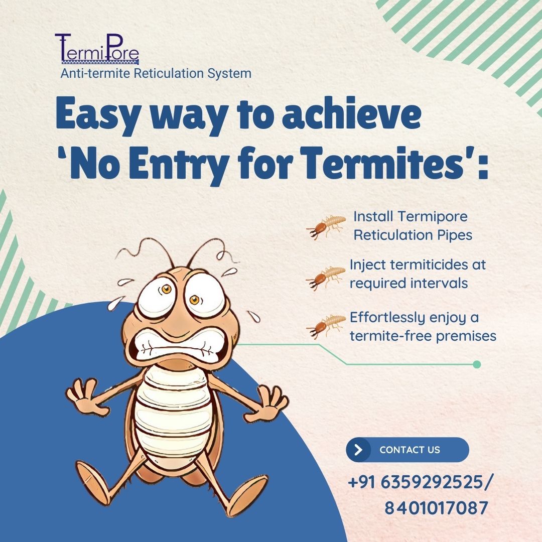 How To Prevent Termites – The Silent Destroyers